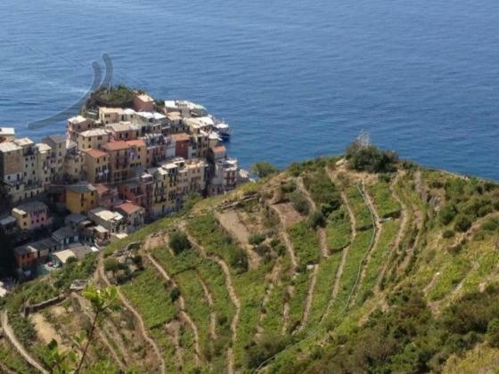 Appartamento Vacanze "Borgo Cinque Terre" Volastra Manarola ภายนอก รูปภาพ